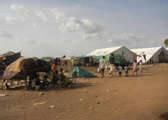 カドグリ市内から逃れた人々は、まずは郊外の国連施設周辺で避難生活を 始めた（2011年6月撮影）