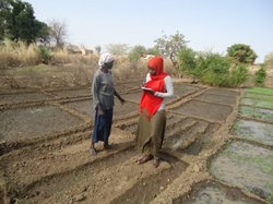 サブラさんの畑で話を聞くJVCスタッフ