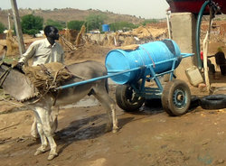 カドグリ市内で給水するロバの水売り