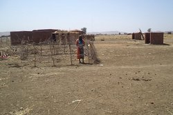 乾季のティロ避難民住宅。現在約150世帯が暮らしている