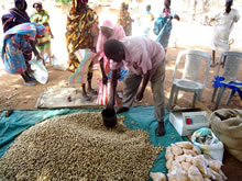 ひとりひとりが6種類の種を受け取った