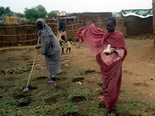 配布されたトウモロコシの種を、家の前のジブラカにまく