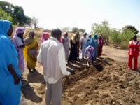 実技研修、畝の作り方