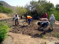 みんなで土起こしの練習