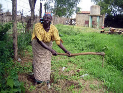 整備工場の裏手で菜園づくりをするアラバさん