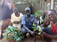 これから市場へ出荷