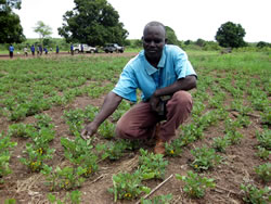 ジョセフさんと落花生畑