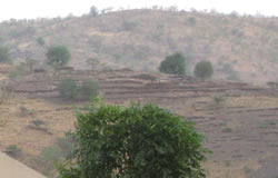 斜面に連なるテラス状の畑