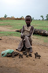 「上手だねえ！」というと、はにかんでしまった粘土細工作者。一人でうつむいて熱心に土をこねくり回している男の子が、そこかしこに点在していた。