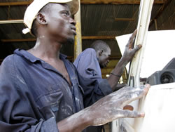 塗装前に研磨したクルマのボディを確認する研修生