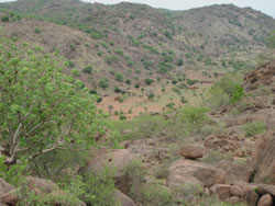 ヌバ山地は丘陵状の山々の連なり