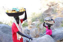 山では今も果実などが豊富に採れる。山中の村からふもとの市場へ、マンゴーを運んで険しい道を行く女性たち 