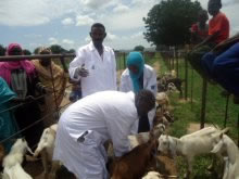 配布前に行われる予防接種