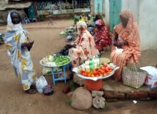 ペットボトルの中身はヨーグルト