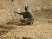 穴に枯れ枝を差し込む。枯れ枝は、主に「ナバック」「キトル」という2種類の木が使われる