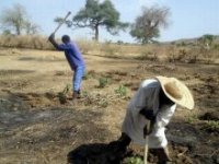 菜園づくりの準備が始まり、作業に精を出すトゥトゥさん（右）
