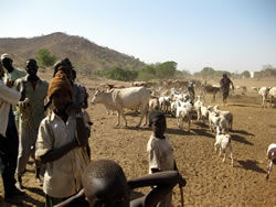 [��R���h�t�@���B]