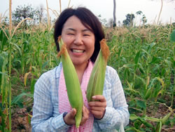 実の詰まったトウモロコシの見分け方を修得した石川さん