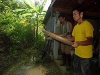 精米作業：籾とお米を分ける