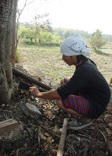 ナタ使いもお手の物になった新田君