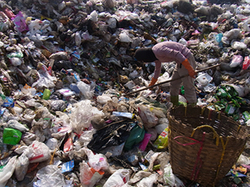 資源ごみを収集するインターン生