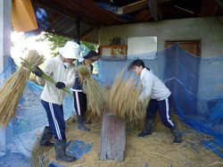 カオデーン農園での脱穀の特訓