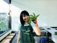 ステイ先で収穫したバナナ