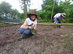 カオデーン農園での農作業の様子
