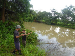 自給的な暮らしの在り方池で育った魚を釣ってその日の夕食に