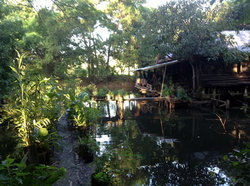 池の上のカヨタさんの家