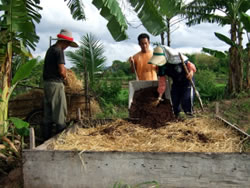 藁に鶏糞をまぜて堆肥作りをする