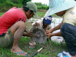 途中、トラクターの刃を修理する場面も。