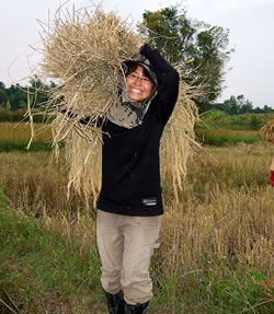 タイのおばちゃんも心配する東北タイでの働きっぷり