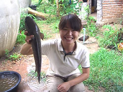 魚を料理する宮田さん