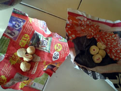 これが麹菌です