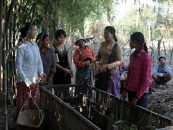 家庭菜園をフォローアップで訪れたＪＶＣスタッフ