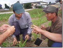 千葉県の農家　池上さん宅を訪問