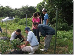 弥栄町　野菜畑で意見交換