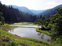 美しい自然環境を守るのも農の社会的役割