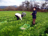 二本松市で農業の再生に取り組む有機農家を訪問(2013年)