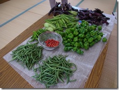 畑で収穫した野菜