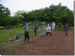 カモシカ除けのネットを張る住民の方々