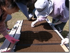 種まきの様子
