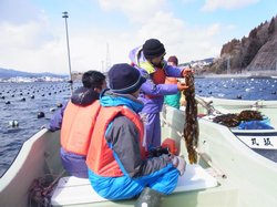海上見学の様子。地元の方の解説に耳を傾けます