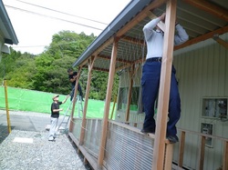 グリーンカーテンの設置