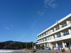 青空に舞い上がった連凧
