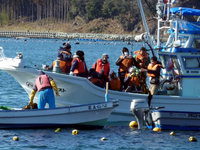 海上見学の一コマ