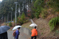 ここから山道に入っていきます。どきどき。