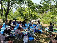 新緑の下で食事を楽しむ参加者