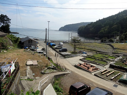 はまぐり堂から見えるはまぐり浜